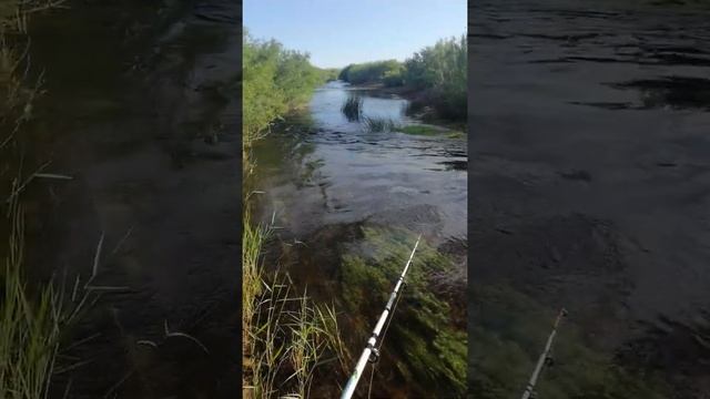 Природа смотреть онлайн