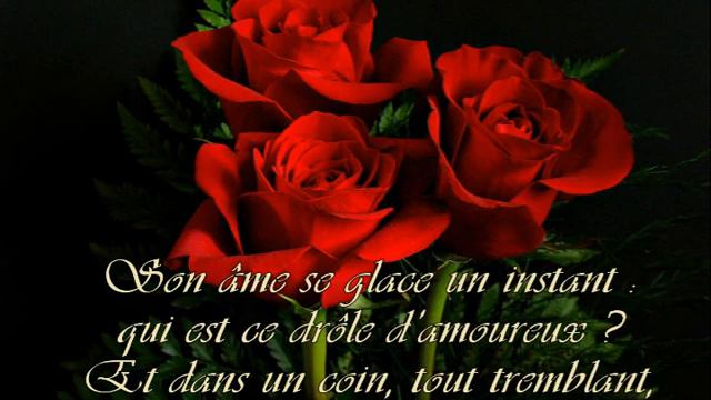 «Million de Roses rouges» Dominique Moisan смотреть онлайн