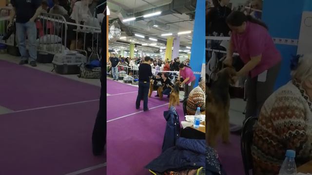 VID 20190331 121002 смотреть онлайн
