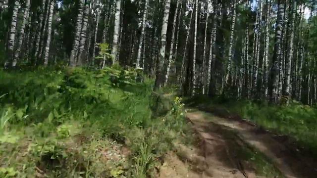 Берёзовая роща на вятке смотреть онлайн