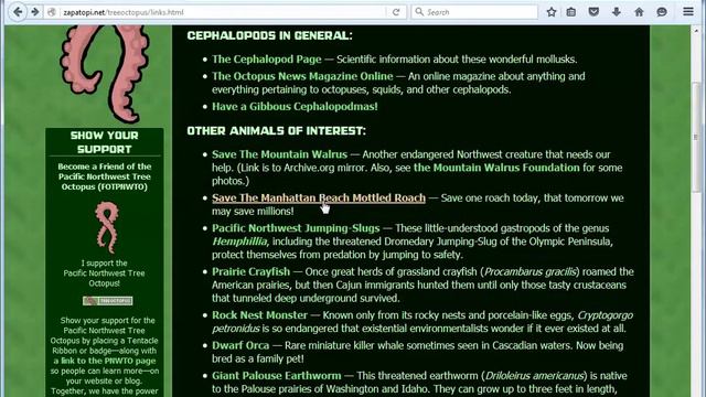 Evaluation of Website смотреть онлайн