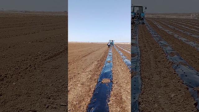 Наш пленкоукладчик начинает второй сезон 2023г смотреть онлайн