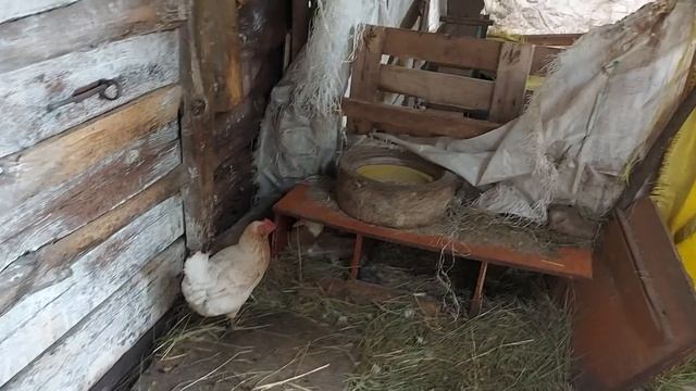 Такой вес не может не радовать)))) смотреть онлайн