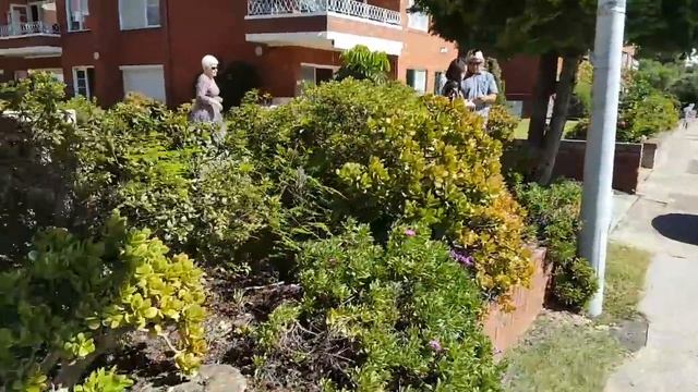 Австралийские штрафы и Дятел .Жизнь в Австралии .Хорошие соседи.Обзор покупок . смотреть онлайн