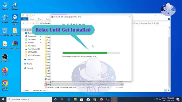 Microsoft  Office Professional Plus