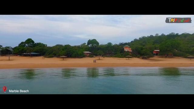 Trincomalee Travel Guide | Diving | TRIP PISSO VLOG #61 смотреть онлайн