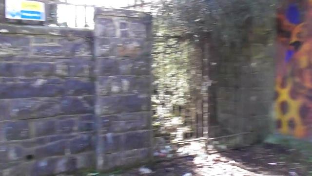 Belfast Bellevue Zoo Historic Grand Staircase Can It be Saved? смотреть онлайн