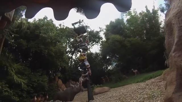 Florida 2014 |First Time Ever | The Magic Kingdom | Jungle Cruise | Aladdin's Flying Carpets | Dumb смотреть онлайн