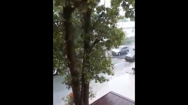 Ребенок упал в ливневку в Лазаревском 3.08.2018 смотреть онлайн