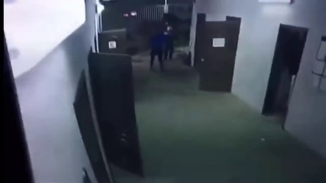 Лошадь сняла дверь с петель и устроила переполох