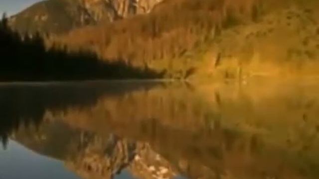 Медитация «Прощение Родителей» смотреть онлайн