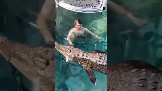 Экстремальный аттракцион в аквапарке Австралии смотреть онлайн