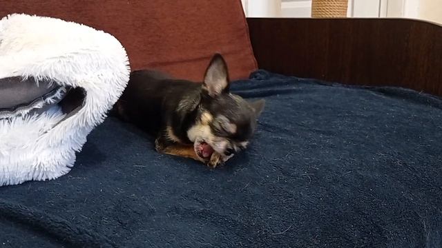 Наши средства гигиены. Прошу совета, подскажите! ? смотреть онлайн