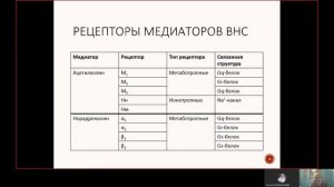 Фарма ВСЕ 2.1. Физиология ВНС.mp4