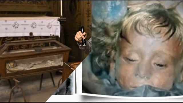 EL CASO DE ROSALÍA LOMBARDO смотреть онлайн