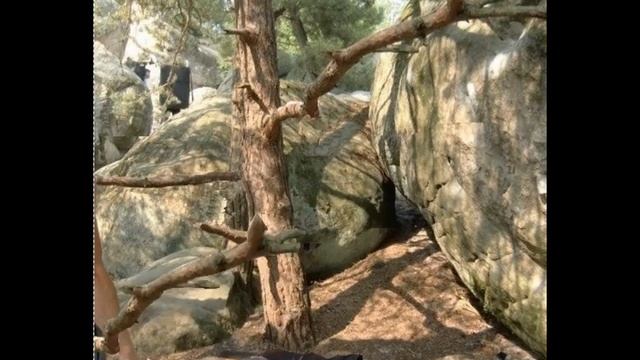 АНИМАЦИЯ КАРТИНОК СО СКРИМЕРОМ!) смотреть онлайн