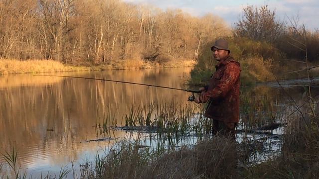 Прогулка на речку. октябрь. Marianablog.ru.Цитрусы и ЗОЖ смотреть онлайн