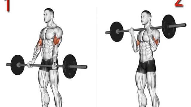 How to get big biceps its very easy 3 exercise only - Tamil - Part 1 смотреть онлайн