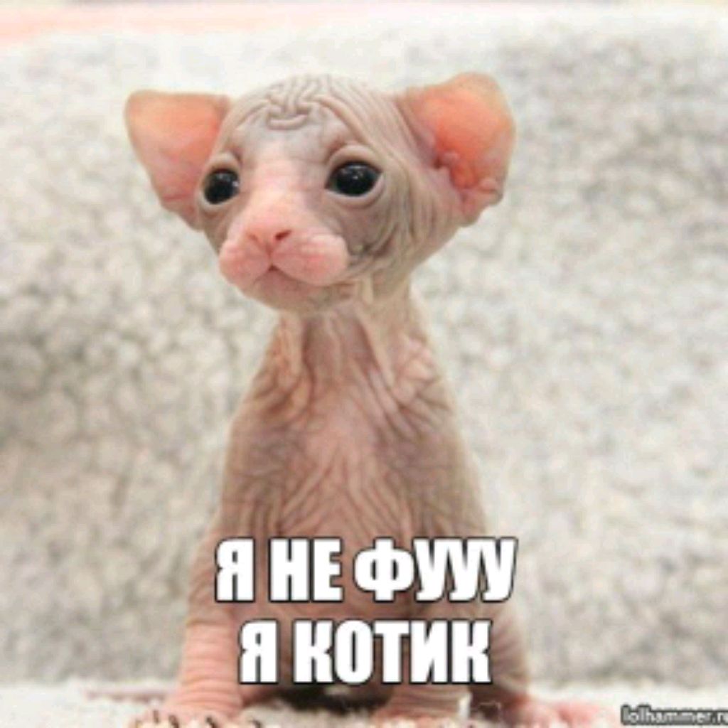 АаАРиясИятятяимИяоятят