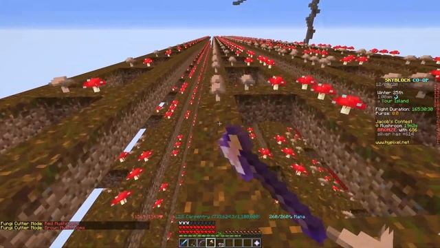 Fungi Cutter - The New way to farm mushroom (Hypixel Skyblock) смотреть онлайн