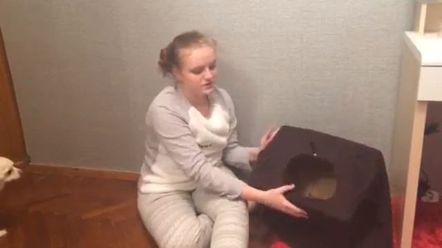 DIY будка для собаки своими руками. Бесплатный домик для вашего питомца смотреть онлайн