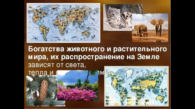 Географія. Біосфера. 6 клас смотреть онлайн