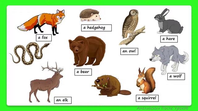 Rainbow English 3 класс. Дикие животные. Wild animals in the forest смотреть онлайн