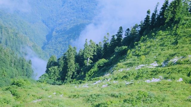 Гагра.Абхазия.Джип-тур "Выше облаков" на вершину горы Мамдзышха. смотреть онлайн