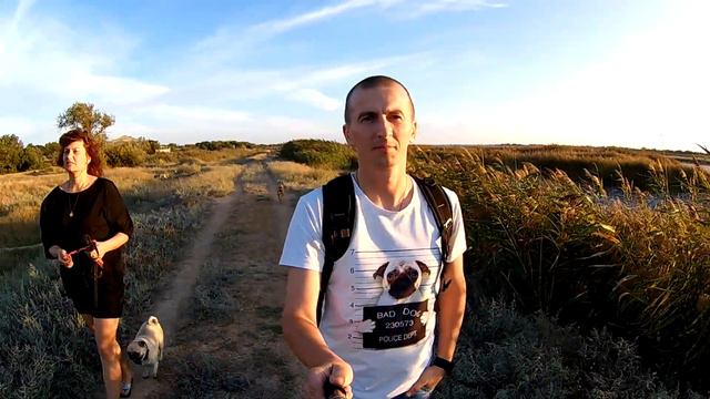 Евпатория 2017, мопсы на Мойнаки. смотреть онлайн