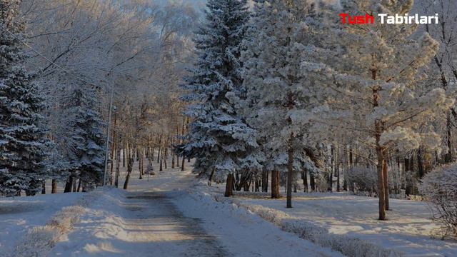 Тушда Киш Фаслини курса - Tushda Qish faslini ko'rsa смотреть онлайн