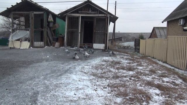 27 ноября Спорт природа не шутит смотреть онлайн