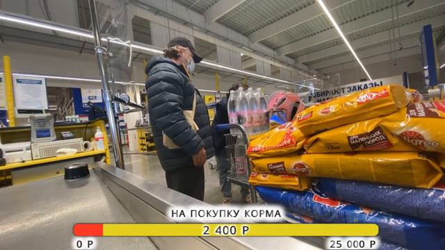 СТРИМ: Едем за кормом. Отвечаем на вопросы вместе с главным оптовиком Бусей смотреть онлайн