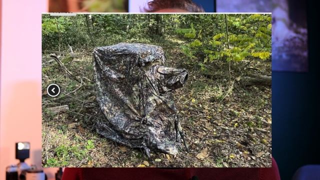 LA CHAISE AFFUT PARFAITE !! - TRAGOPAN LAGOPUS