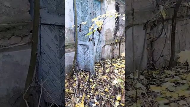 Древний замок, окруженный валами и рвами. смотреть онлайн