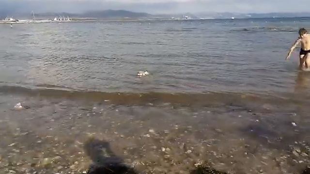 Выплыв Монфальконе смотреть онлайн