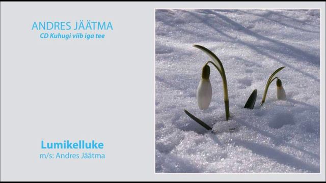 04 Andres Jäätma - LUMIKELLUKE смотреть онлайн