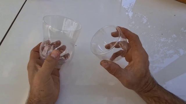 Ideia Linda Com GARRAFA Plástica Para A Flor Jacinto - O Perfume Da França