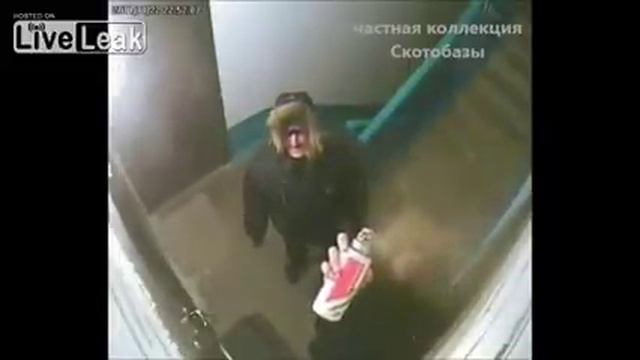 Что делают ваши соседи, когда вас нет дома смотреть онлайн