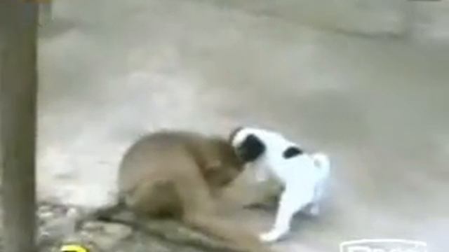 Размер имеет значение смотреть онлайн