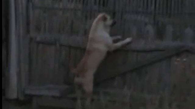 ЯЩЕР НАД ВОСКРЕСЕНСКИМ смотреть онлайн