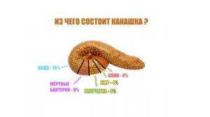 Из чего состоит какашка?
