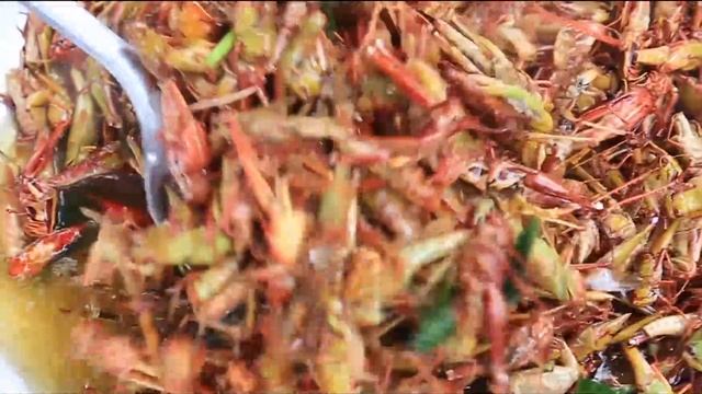 Yummy Cooking Grasshopper Recipe - Cooking Skill