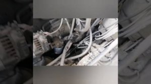 Газон некст ошибка 0276 или 0267