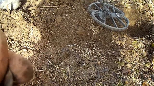 Копаем фундамент в лесу с NOKTA-MAKRO Simplex смотреть онлайн