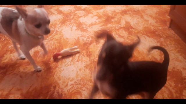 У Бони появилась новая подружка \\\\Bonnie has a new girlfriend🌸❤ смотреть онлайн