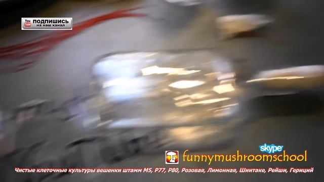 NEMIROFF - лабораторная посуда, чашка Петри и пробирка 2 в 1 смотреть онлайн