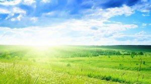 Медитация для перезагрузки сознания и очистки от мыслей