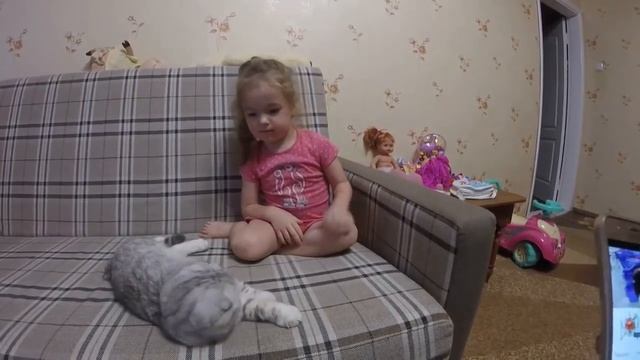 Любовь и Дружба между Кошкой и Ребенком? Коты и Дети Кошка Хлоя ? Scottish Fold Cat vs Kids смотреть онлайн