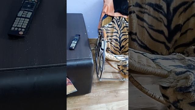 Трусишка Персик? боится, когда я убиваю мух. смотреть онлайн