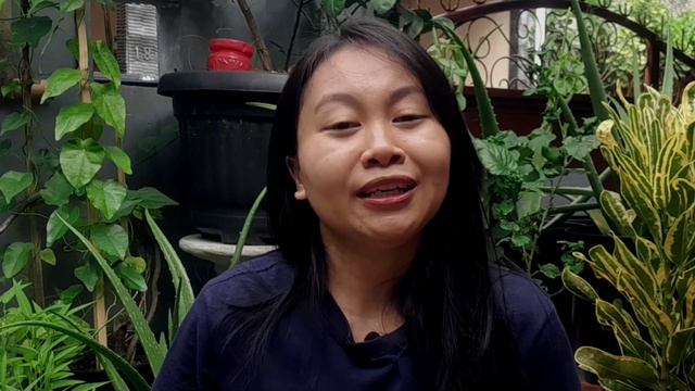 LIDAH BUAYA TANPA PENYIRAMAN DAN SINAR MATAHARI PENUH смотреть онлайн